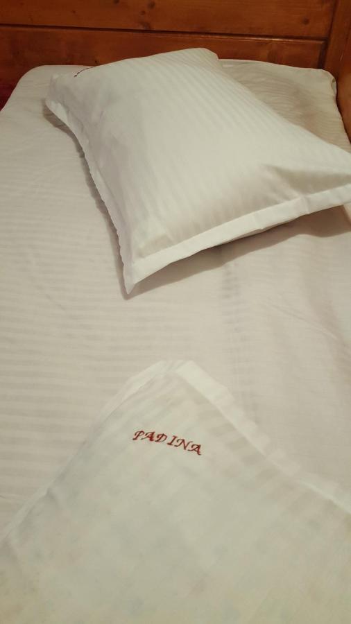 Pensiunea Padina 布朗 外观 照片